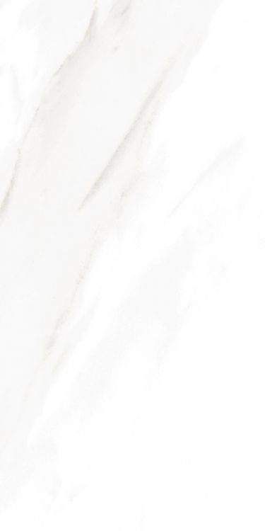 EC Calacatta Gold Polished 12 x 24